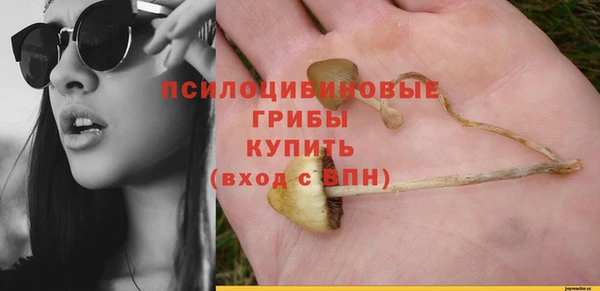 apvp Алексин