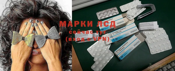 apvp Алексин