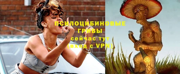 apvp Алексин