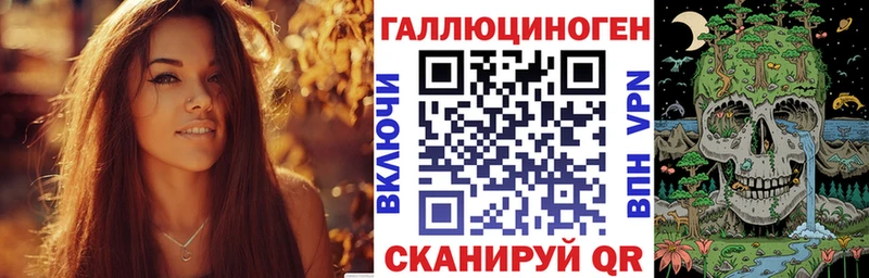 Псилоцибиновые грибы Psilocybe  Дрезна 